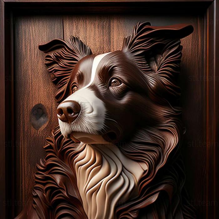 3D model Border Collie dog (STL)